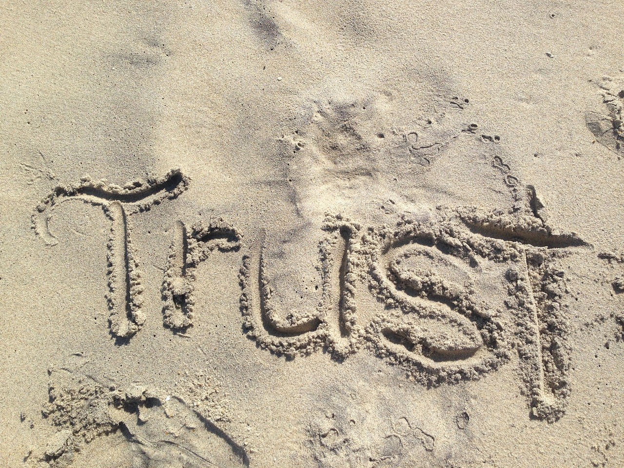 trust 1418901 1280