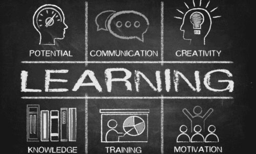 Organisation as a Learning System
